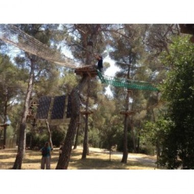 Cassis Forest - photo 3